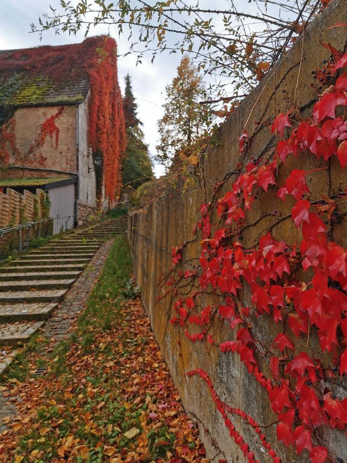 Gaestezimmer Reitinger Siegenburg Экстерьер фото